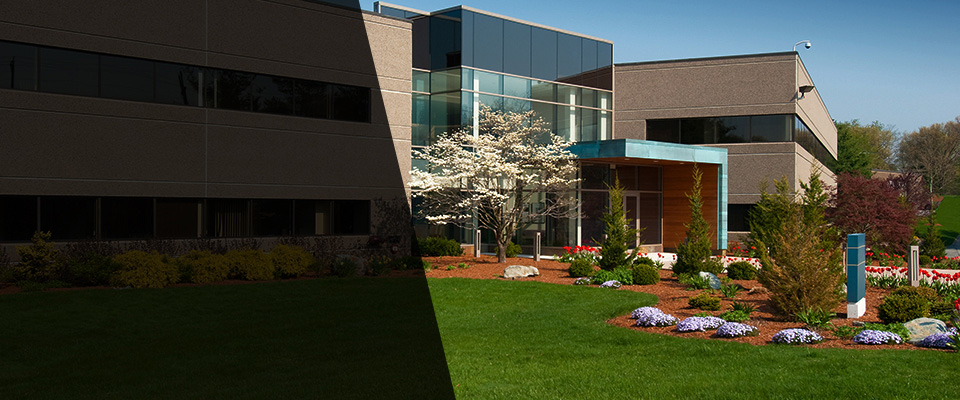 Granite Bay Landscapers