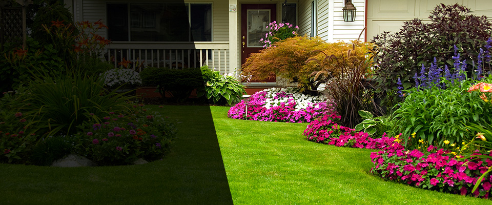 Granite Bay Landscapers