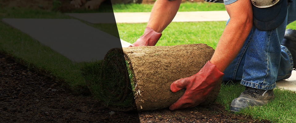 Granite Bay Landscapers